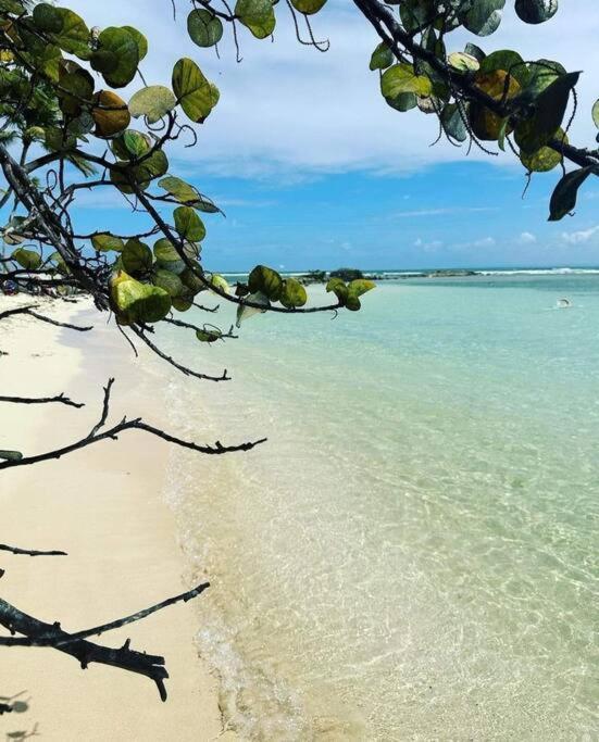 Les Pieds Dans L'Eau Chez Syl Lejlighed Le Moule Eksteriør billede